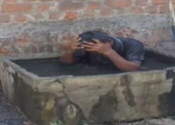 युवक पर मधुमक्खियों का अटैक, 1 Km तक दौड़ाया, पानी में कूदकर बचाई जान