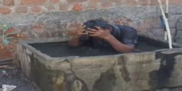 युवक पर मधुमक्खियों का अटैक, 1 Km तक दौड़ाया, पानी में कूदकर बचाई जान