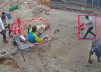 CCTV में कैद दहला देने वाला हमला! घर के बाहर बैठे थे लोग, अचानक झपटा कुत्ता, फिर…