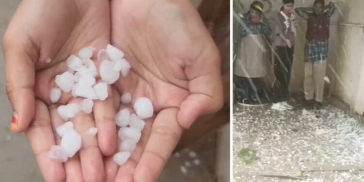 धूप के बाद ‘बर्फबारी’ का मंजर… ग्वालियर में दोपहर बाद पलटा मौसम, ओलों के प्रहार से कांप उठा शहर, बाइक-कारों के शीशे टूटे