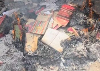 डिप्टी CM के दौरे से पहले जला दिए जमीन के कागज! वायरल वीडियो से मचा हड़कंप