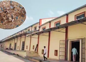MP के वेयर हाउस में खराब हो गया 35 करोड़ का गेहूं? अफसर बोले- जांच रिपोर्ट के बाद होगा फैसला