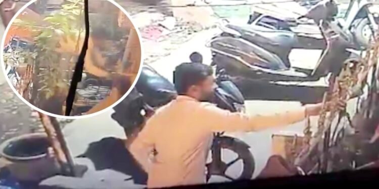 अजीब चोरी: घर के बाहर सूख रहे कपड़ों में से सिर्फ महिलाओं के अंडरगारमेंट ले भागा, CCTV में दिखा चोर