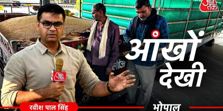 MP में MSP पर देरी की मार, औने-पौने दाम पर गेहूं बेचने को मजबूर किसान