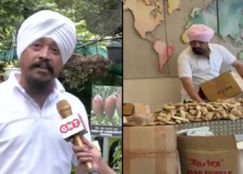 आम भी खाते हैं गुठली भी गिनते हैं…, जानें दिल्ली के ‘गुठलीमैन’ जस्मीत सिंह की कहानी   