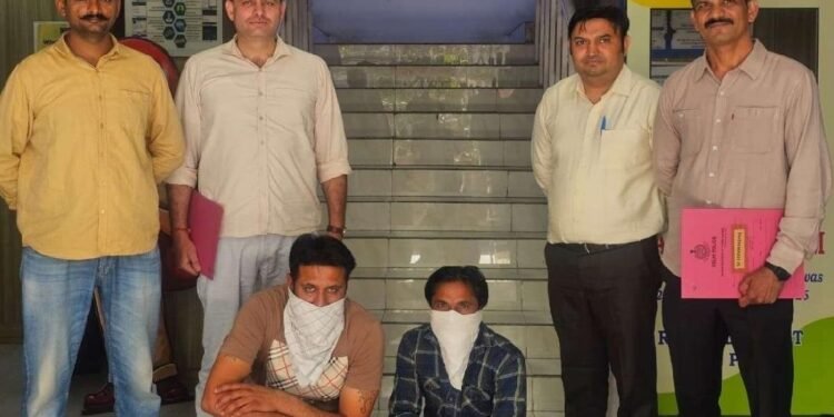 मशहूर फूड चेन खान चाचा के मालिक का बेटा डिजिटल अरेस्ट फ्रॉड में फंसा, 519 करोड़ की ठगी का खुलासा