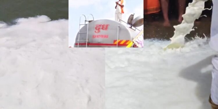 नर्मदा नदी का 11 हजार लीटर दूध से अभिषेक, 41 टन सामग्री और सोने-चांदी की आहुति, VIDEO