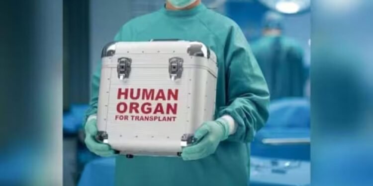 85 मिनट में दिल्ली पहुंचा धड़कता दिल… युवक को मिली जिंदगी, 98 KM के ग्रीन कॉरिडोर की कहानी