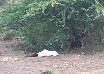 शादी के बाद अफेयर, धोखा और मौत…निवाड़ी में पहले मर्डर फिर सुसाइड का सनसनीखेज खुलासा    