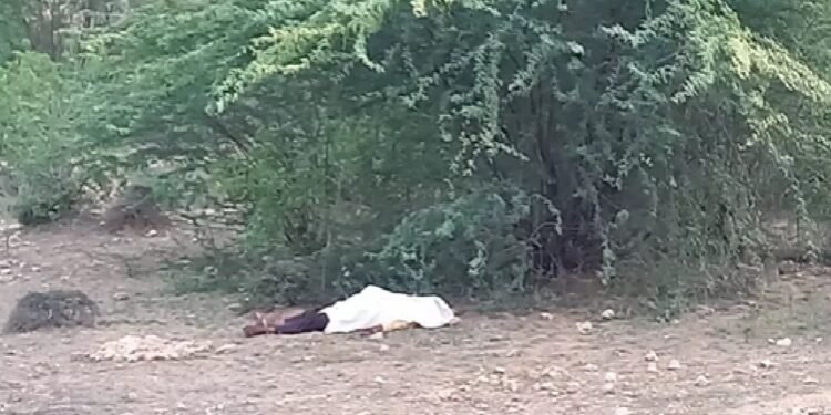 शादी के बाद अफेयर, धोखा और मौत…निवाड़ी में पहले मर्डर फिर सुसाइड का सनसनीखेज खुलासा    