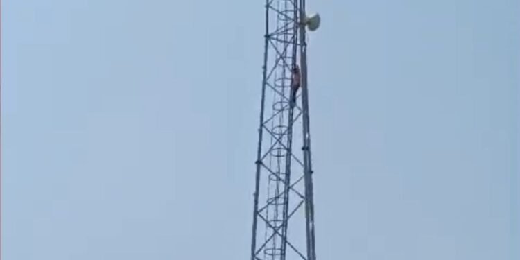 ‘मेरी उससे शादी कराओ वरना…’,सिर पर प्यार का भूत सवार और टावर पर जा चढ़ी नाबालिग लड़की