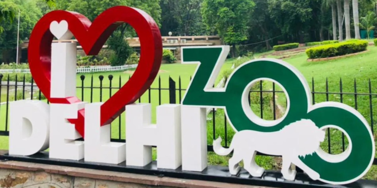 दिल्ली चिड़ियाघर में नए मेहमान: पटना से आए बाघ, भेड़िये और सांप… जल्द कर सकेंगे दीदार