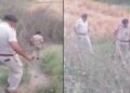 कमर से लेकर घुटने तक कटा हुआ शव…, हाईवे के पास लड़की का बॉडी पार्ट मिलने से हड़कंप