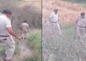 कमर से लेकर घुटने तक कटा हुआ शव…, हाईवे के पास लड़की का बॉडी पार्ट मिलने से हड़कंप