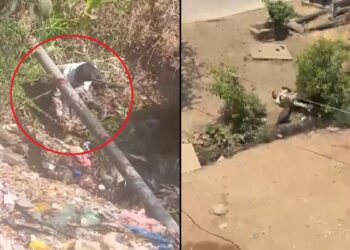 जमीन पर पटककर तेंदुए के ऊपर बैठा, MP के धार का चौंकाने वाला VIDEO