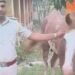 बाइक-कार के बाद अब घोड़ा बना तस्करों का हथियार, शराब के साथ पुलिस ने पकड़ा अनोखा जुगाड़