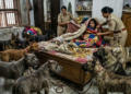 15 खतरनाक कुत्तों के पहरे में ‘शातिर नौकरानी’, रजाई के अंदर छिपी मिली, 2 KG सोने का खेल खुला
