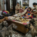 15 खतरनाक कुत्तों के पहरे में ‘शातिर नौकरानी’, रजाई के अंदर छिपी मिली, 2 KG सोने का खेल खुला