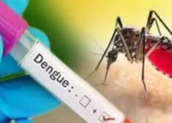 दिल्ली: डेंगू के मामलों ने बढ़ाई चिंता, अप्रैल में ही टूटा कई वर्षों का रिकॉर्ड