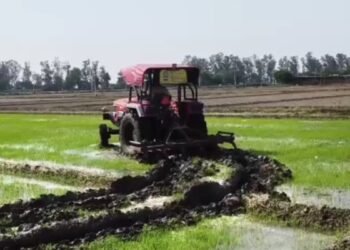 खेतों पर चला प्रशासन का ट्रैक्टर… समय से पहले लगाई गई धान की पौध नष्ट; किसानों को भारी नुकसान, जानें क्या है नियम