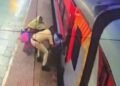 जाको राखे साइयां मार सके न कोई… चलती ट्रेन से गिरी महिला, RPF जवान की बहादुरी से बची जान- VIDEO