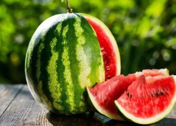 पहले खाई कद्दू की सब्जी, फिर खाया तरबूज… पिता की मौत, बेटे की हालत गंभीर