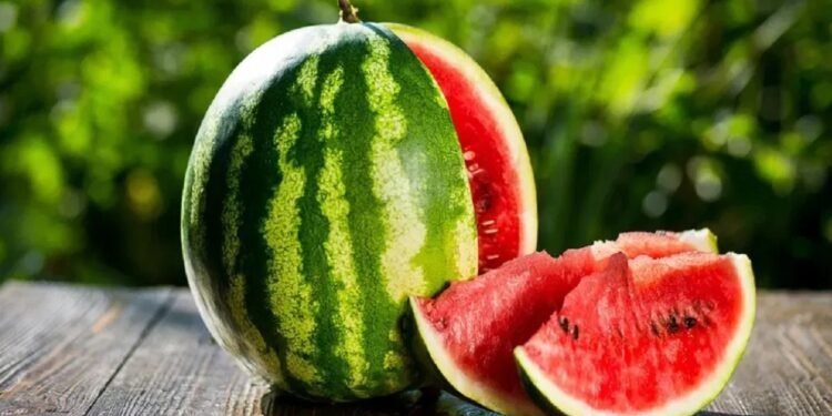 पहले खाई कद्दू की सब्जी, फिर खाया तरबूज… पिता की मौत, बेटे की हालत गंभीर