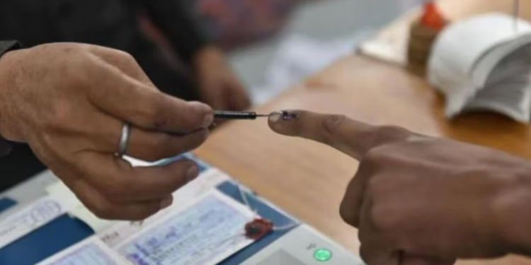 हिमाचल: निकाय चुनाव के लिए वोटिंग जारी, मतदाताओं में जबरदस्त उत्साह