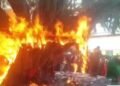 वट सावित्री पूजा के दौरान अचानक बरगद के पेड़ में लगी भीषण आग, मच गई अफरा-तफरी