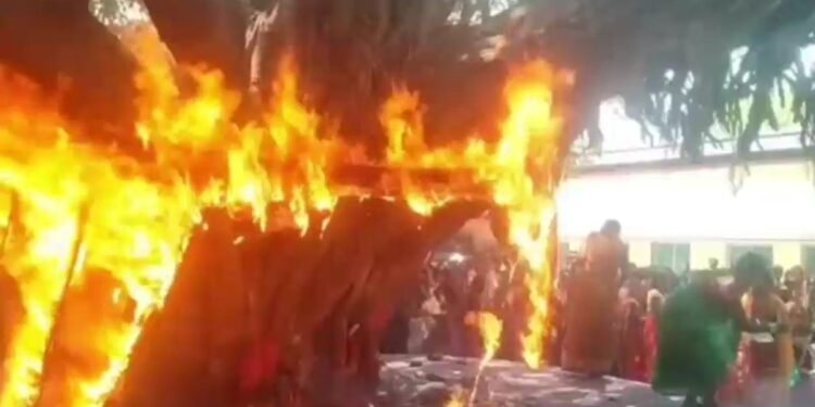 वट सावित्री पूजा के दौरान अचानक बरगद के पेड़ में लगी भीषण आग, मच गई अफरा-तफरी