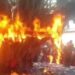 वट सावित्री पूजा के दौरान अचानक बरगद के पेड़ में लगी भीषण आग, मच गई अफरा-तफरी