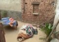 मां को डंडों ले पीटकर ले ली जान, खुद कूद गया कुएं में…नशे का आदी था बेटा