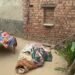 मां को डंडों ले पीटकर ले ली जान, खुद कूद गया कुएं में…नशे का आदी था बेटा