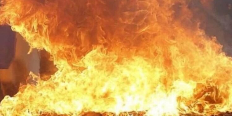 सीधी में काल बनी बिजली की चिंगारी: घर में जिंदा जले 3 मासूम भाई-बहन; मां गई थी राशन लेने, पिता मजदूरी पर, पीछे से उजड़ गई दुनिया