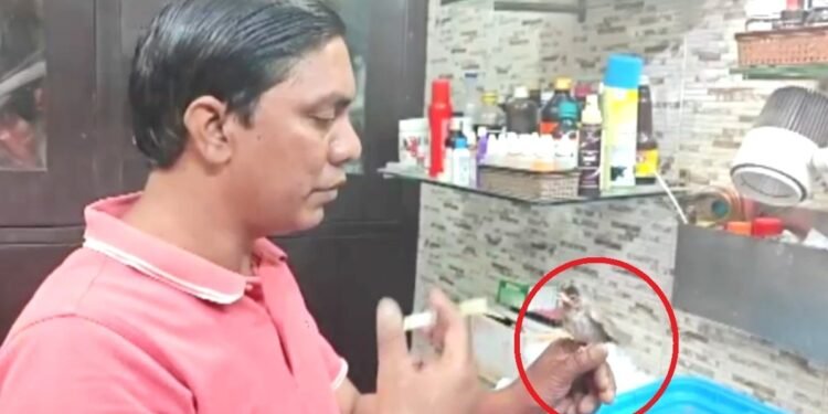 परिंदों के लिए मसीहा बने ‘पक्षीराज’… गुरुग्राम के बर्ड सेंटर में खुला पक्षियों का ICU, ग्लूकोज ड्रिप से बचा रहे बेजुबानों की जिंदगी