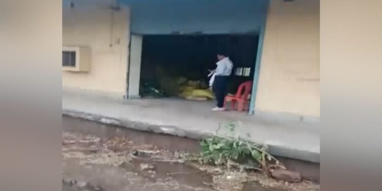 किसानों को खाद नहीं मिल रही थी, उधर गोदाम से गायब हो गईं 700 बोरियां… बैतूल में बड़ा चोरीकांड