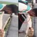 ‘देखो गाइज, पुल में दरार आ गई है…’, बोलते- बोलते उसी दरार में गिर गया युवक का मोबाइल, VIDEO