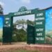 कूनो नेशनल पार्क से आई दुखद खबर… मादा चीता ‘KGP11’ की मौत, मुरैना के जंगलों में मिली थी घायल