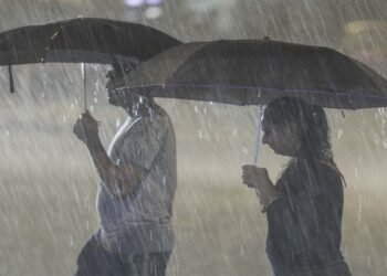 बिहार में मॉनसून की एंट्री, यूपी में कब देगा दस्तक? IMD के Monsoon मैप में देखें अपडेट