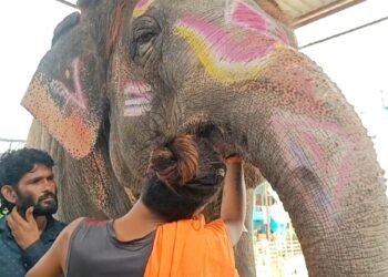 महाकाल की सवारी से पहले उज्जैन में ‘हाथी’ पर घमासान! ब्लड सैंपल देने से महावत का इनकार, डॉक्टरों की टीम को पीछे हटना पड़ा