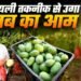 जहां उम्मीद कम थी, वहीं हुआ चमत्कार, इजरायली तकनीक से नरसिंहपुर में खड़ा हुआ 70 एकड़ का आमों का साम्राज्य, अब पहुंचा दुबई- लंदन