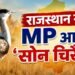 MP और आंध्र में बड़ा ‘वाइल्डलाइफ एक्सचेंज’… देंगे बाघ, बदले में लेंगे जंगली कुत्ते; राजस्थान से ‘सोन चिरैया’ भी लौटेगी