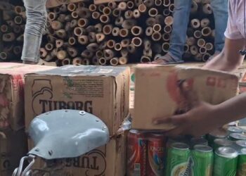 बांस के नीचे बना रखा था सीक्रेट तहखाना! मुजफ्फरपुर में 30 लाख की बीयर की खेप पकड़ी गई