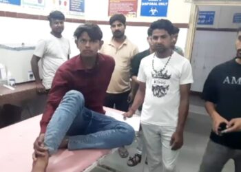 MP में आवारा कुत्तों का आतंक! 2 घंटे के भीतर 40 लोगों को काटा, शहर में मची दहशत