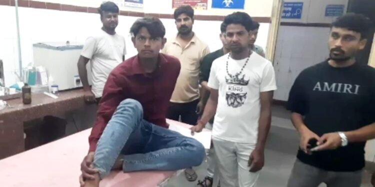 MP में आवारा कुत्तों का आतंक! 2 घंटे के भीतर 40 लोगों को काटा, शहर में मची दहशत