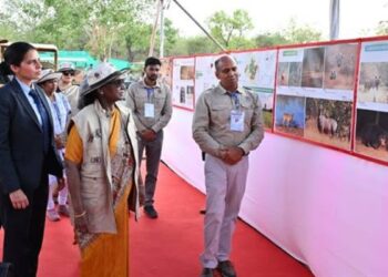 राष्ट्रपति द्रौपदी मुर्मू ने देखा कूनो… वन-टू-वन बात कर ‘चीता मित्रों’ के जज्बे को सराहा