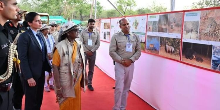 राष्ट्रपति द्रौपदी मुर्मू ने देखा कूनो… वन-टू-वन बात कर ‘चीता मित्रों’ के जज्बे को सराहा