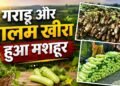 बालम खीरा और गराड़ू अब दुनिया में बनाएंगे अलग पहचान, मिला GI टैग, खुले एक्सपोर्ट के रास्ते