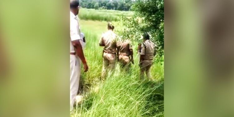 बिहार: प्रेम प्रसंग में खौफनाक हत्या, प्राइवेट पार्ट काटकर पेड़ से लटकाया शव