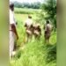 बिहार: प्रेम प्रसंग में खौफनाक हत्या, प्राइवेट पार्ट काटकर पेड़ से लटकाया शव